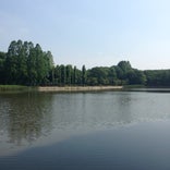 洞峰公園
