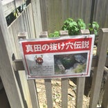 真田古墳 (伝・真田の抜け穴)