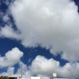 西崎親水公園