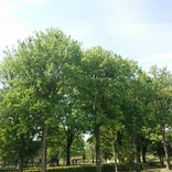 常願寺川公園
