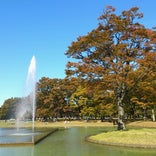 代々木公園