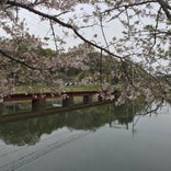 大池遊園
