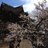北野天満宮 梅苑