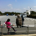 検見川の浜