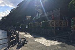 あわしまマリンパーク カエル館