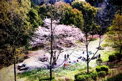 こども自然公園